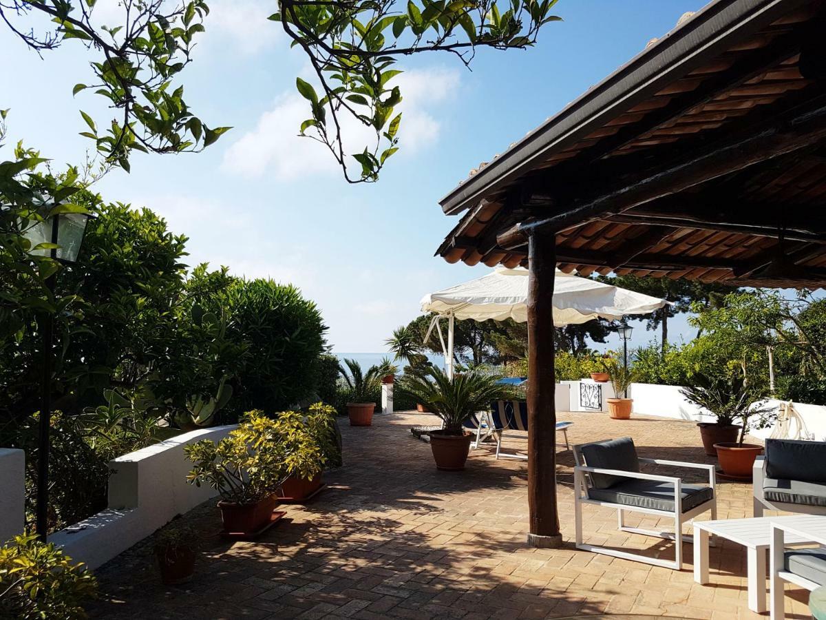 Del Sogno * Parghelia