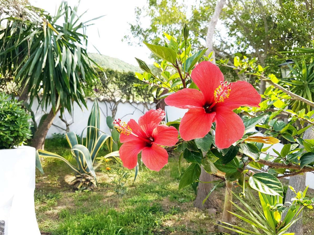 Del Sogno Villa *