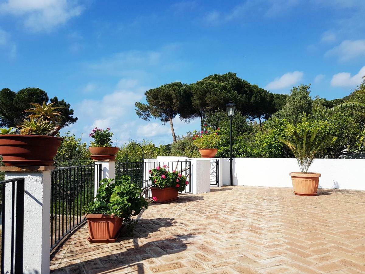 Villa Del Sogno Parghelia
